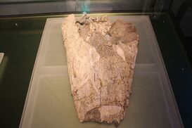 0u67cbeccf-52dae95a-add933e0.jpg