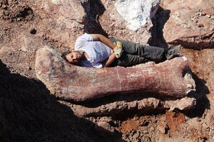 Diego Pol femure patagotitan