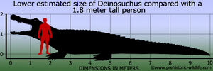 Deinosuchus-size