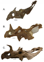 Fig-7-2x