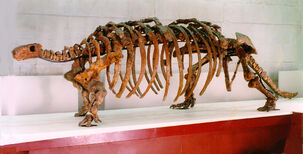 Talarurus-skelet-m