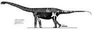 Andesaurus new version by palaeozoologist-d3czj79