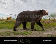 Arctotherium-angustidens-2020-797x638