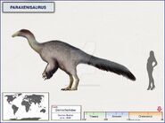 Параксенизавр