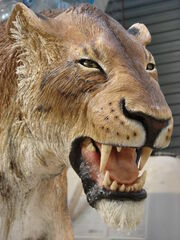 Homotherium