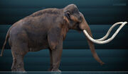 Columbian mammoth 