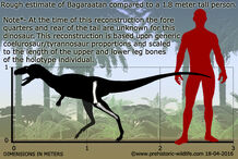 Bagaraatan-size