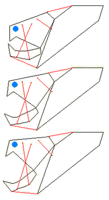 Dunkleosteus biomechanics