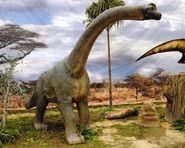 Brachiosaurus-Dinosaur