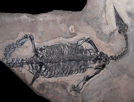 Endennasaurus