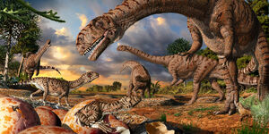 Massospondylus-1.jpg