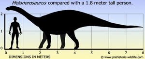 Melanorosaurus-size