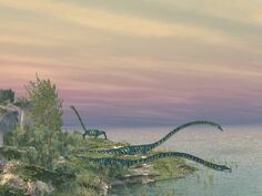 Tanystropheus hors eau
