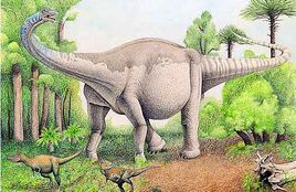 Notocolossus