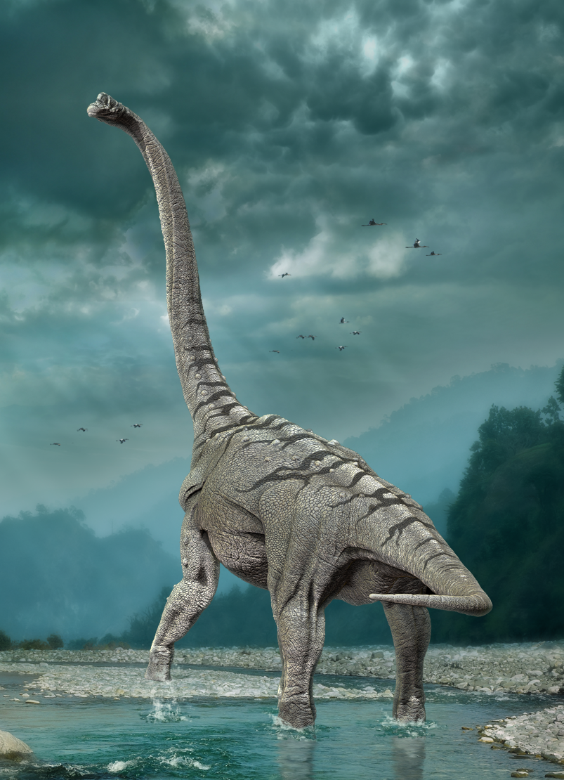 Диназавр. Зауропосейдон динозавр. Зауроподы Юрского периода. Титанозавр зауропод. Диплодок Брахиозавр Спинозавр.