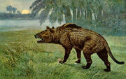 Hyaenodon Heinrich Harder