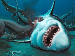 0 PAY-REAL-LIFE-MEGALODON