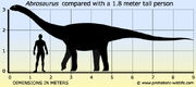 Abrosaurus-size