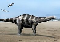275px-Demandasaurus NT