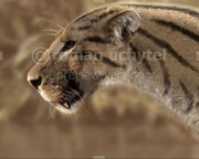 9b6948efa7a1a5ee548d8bb29f30f4b0