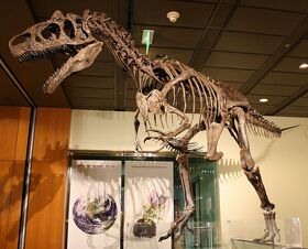 WLA hmns Allosaurus