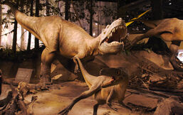 Albertosaur