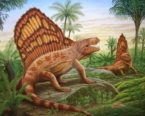 Dimetrodon-0