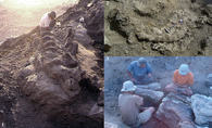 Dinheirosaurus quarry