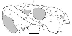 S08718558
