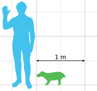 0u364c6335-27546daa-62048b68.png