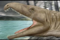 Proterosuchus by christopher252-d7jcxst.jpg (142 КБ)