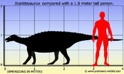 Scelidosaurus-size