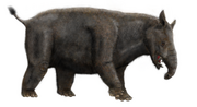 Parastrapotherium recosntruction