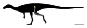 Ahvaytum Skeletal.svg