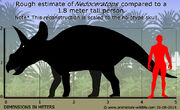Nedoceratops-size.jpg