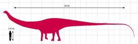 Dinheirosaurus Size Comparison by PaleoGeek.svg