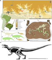 Skeletal reconstruction of Gnathovorax.png