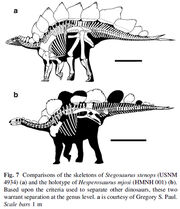 Stegosaurus-vs-Hesperosaurus-Carpenter-2010