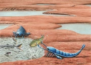 Эреттоптер2