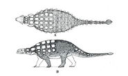 Shamosaurus-2