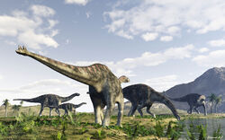 Shunosaurus Image