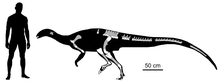 220px-Isasicursor.png