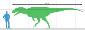Genyodectes size.png