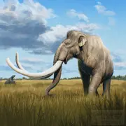 Illustration of South Florida 15% 2C000 years ago