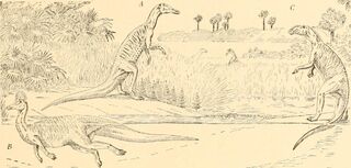 Trachodon, Kritosaurus, Corythosaurus The origin and evolution of life (Osborn,1917)