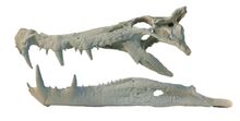Kaprosuchus-0.jpg