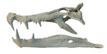 Kaprosuchus-0