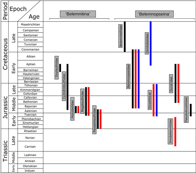 Стратиграфическое и палеогеографическое распространения важнейших семейств белемнитов. Красный цвет — Тетическое царство, синий — Austral Realm, чёрный — Евро-бореальное царство, based on data from Mutterlose (1988), Christensen (1997b), Schlegelmilch (1998), Iba et al. (2012), Weis, Mariotti & Riegraf (2012) and Ippolitov et al. (2017). Источник: Hoffmann & Stevens, 2019