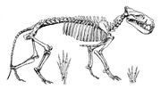S18501301