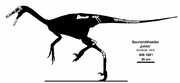 Zanabazar skeletal